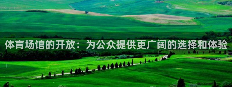 海南意昂体育4：体育场馆的开放：为公众提供更广阔的选