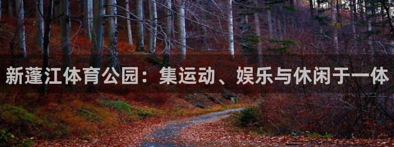 意昂体育4招商电话地址：新蓬江体育公园：集运动、娱乐