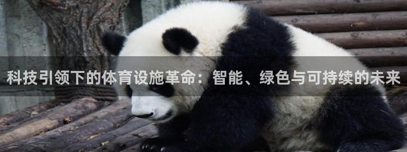意昂4代理：科技引领下的体育设施革命：智能、绿色与可