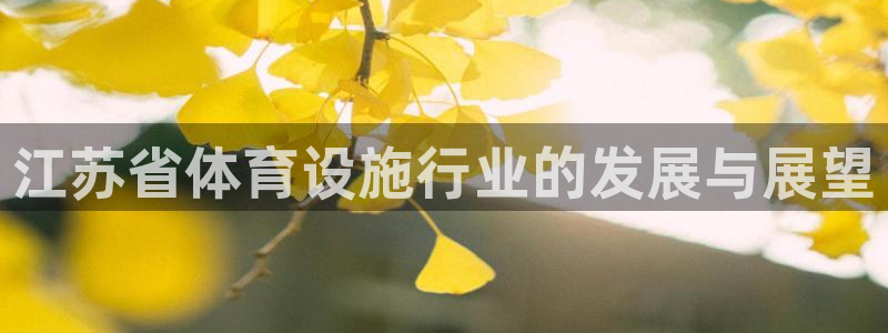 意昂平台体育：江苏省体育设施行业的发展与展望