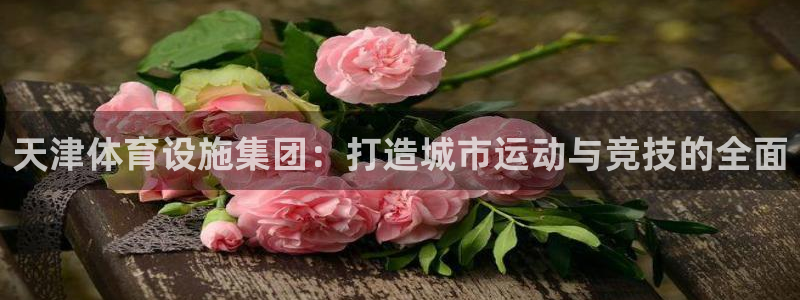 意昂4娱乐平台：天津体育设施集团：打造城市运动与竞技的全面