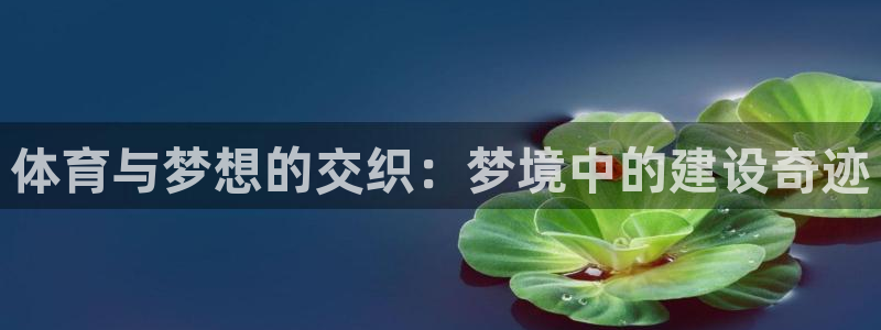 意昂4娱乐首页官网下载：体育与梦想的交织：梦境中的建设奇迹 