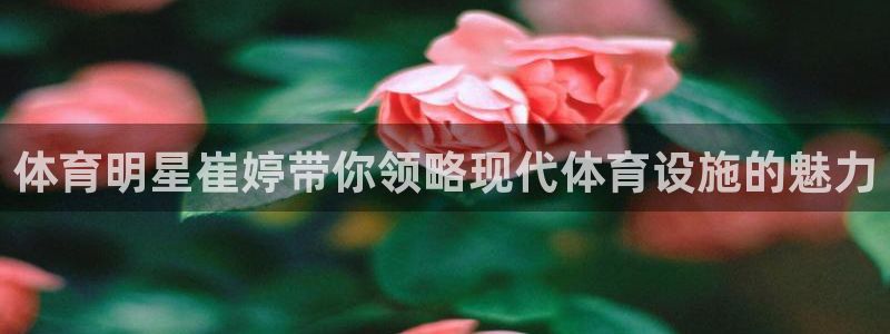 意昂体育4联系电话：体育明星崔婷带你领略现代体育设施的魅力 