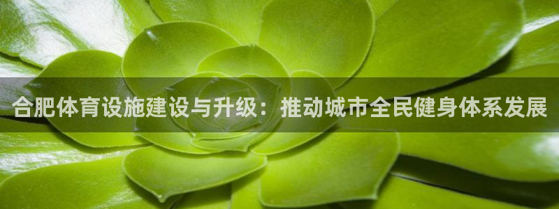 意昂体育4平台注册流程视频：合肥体育设施建设与升级：推动城市